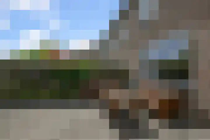 Breedweerlaan 114 Heemskerk thumbnail 11