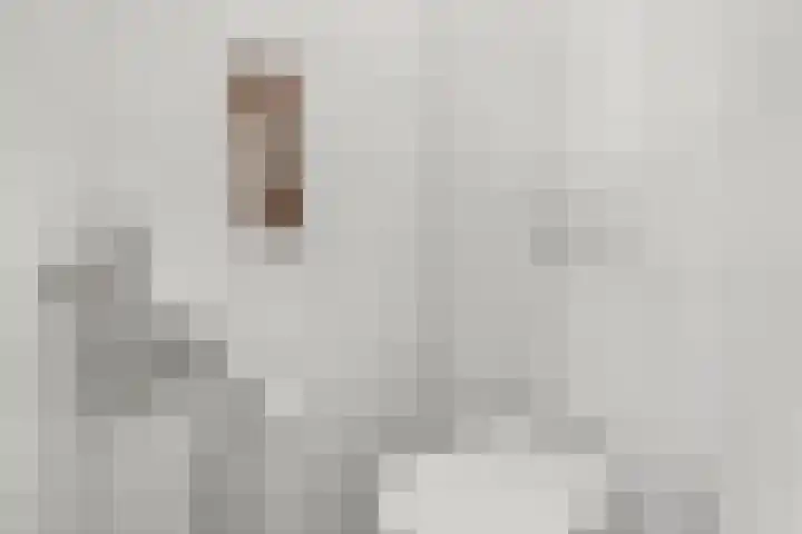 Breedweerlaan 114 Heemskerk thumbnail 15