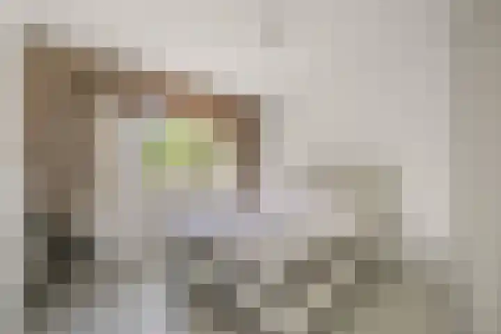 Breedweerlaan 114 Heemskerk thumbnail 20