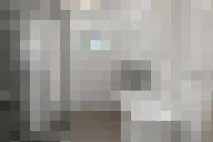 Breedweerlaan 114 Heemskerk thumbnail 23