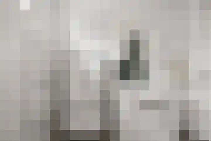 Breedweerlaan 114 Heemskerk thumbnail 25