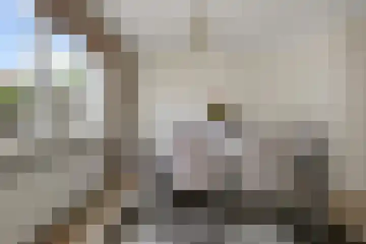 Breedweerlaan 114 Heemskerk thumbnail 8