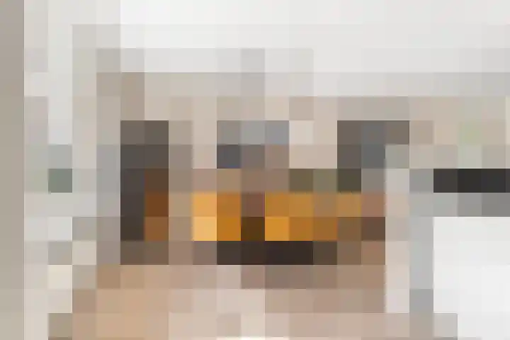 Breedweerlaan 131 Heemskerk thumbnail 10