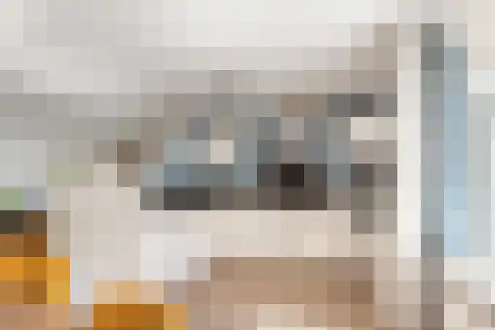 Breedweerlaan 131 Heemskerk thumbnail 11