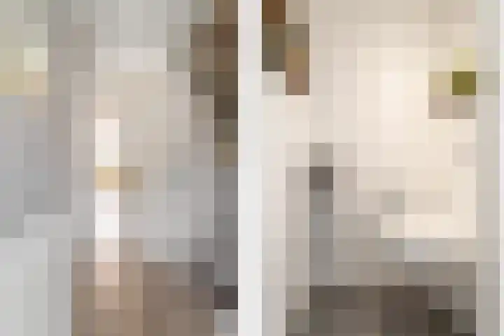 Breedweerlaan 131 Heemskerk thumbnail 16