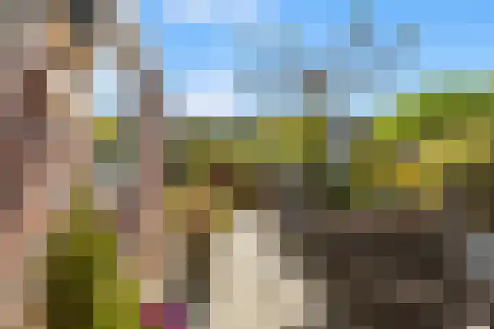 Breedweerlaan 131 Heemskerk thumbnail 22