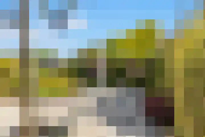 Breedweerlaan 131 Heemskerk thumbnail 23