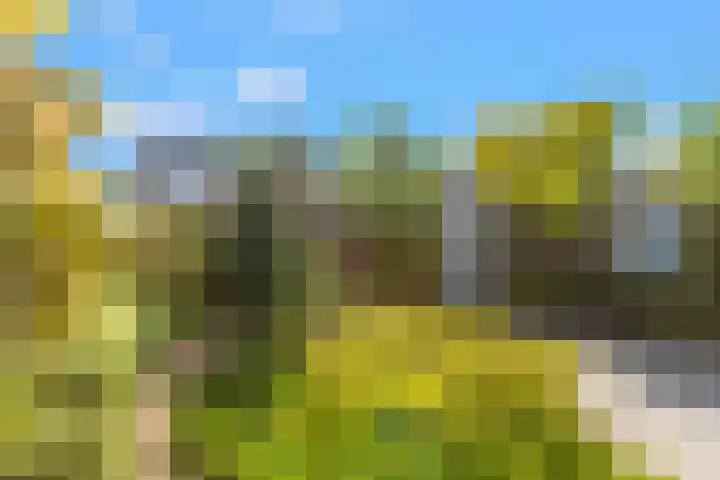 Breedweerlaan 131 Heemskerk thumbnail 24