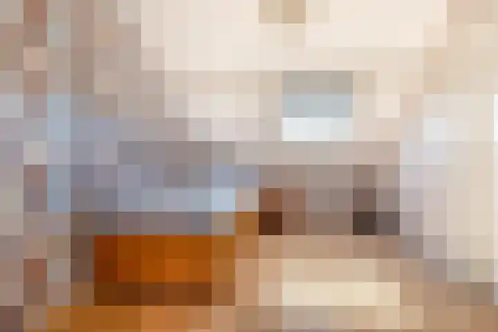Breedweerlaan 131 Heemskerk thumbnail 31