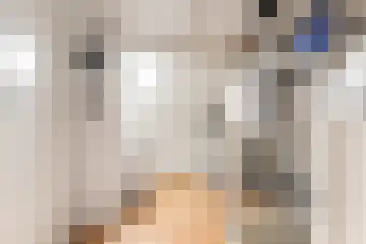 Breedweerlaan 131 Heemskerk thumbnail 32