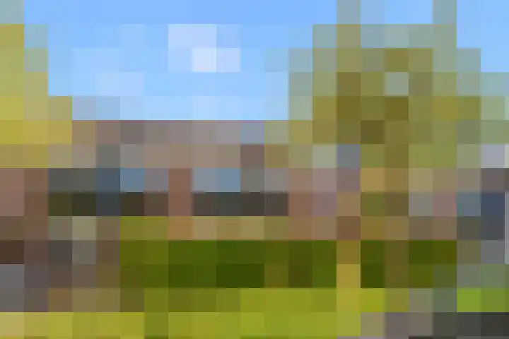 Breedweerlaan 131 Heemskerk thumbnail 33