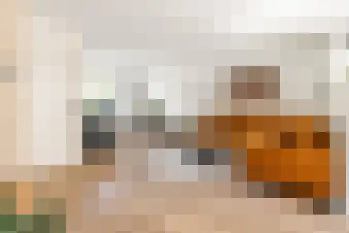 Breedweerlaan 131 Heemskerk thumbnail 6
