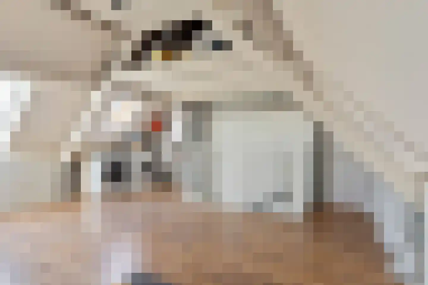 Breedweerlaan 5 Heemskerk thumbnail 46