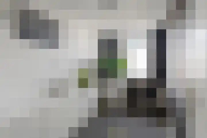 Breedweerlaan 91 Heemskerk thumbnail 18