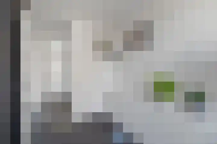 Breedweerlaan 91 Heemskerk thumbnail 19