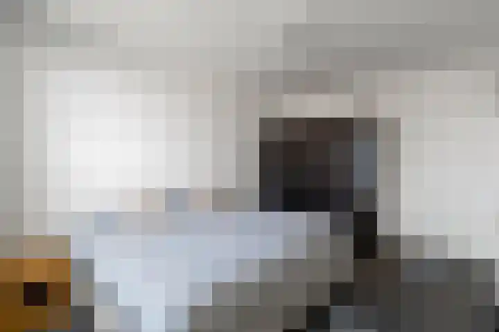 Breedweerlaan 91 Heemskerk thumbnail 21