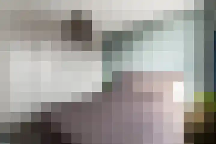 Breedweerlaan 91 Heemskerk thumbnail 23