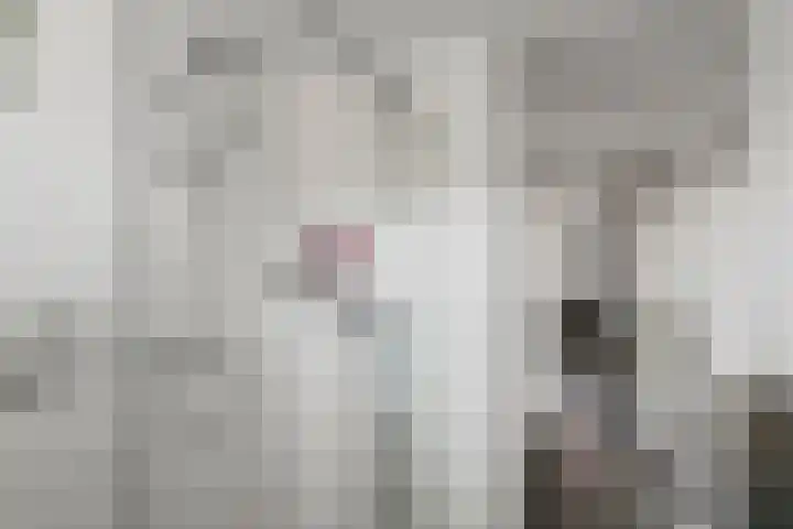 Breedweerlaan 91 Heemskerk thumbnail 26