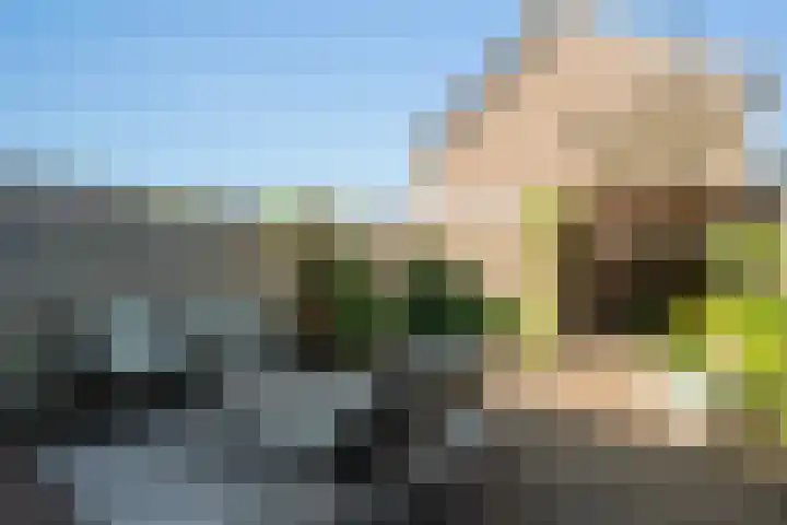 Breedweerlaan 91 Heemskerk thumbnail 36