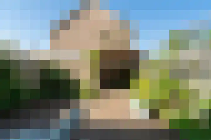 Breedweerlaan 91 Heemskerk thumbnail 38