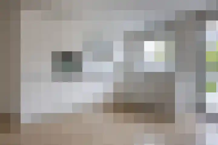Breedweerlaan 98 Heemskerk thumbnail 15