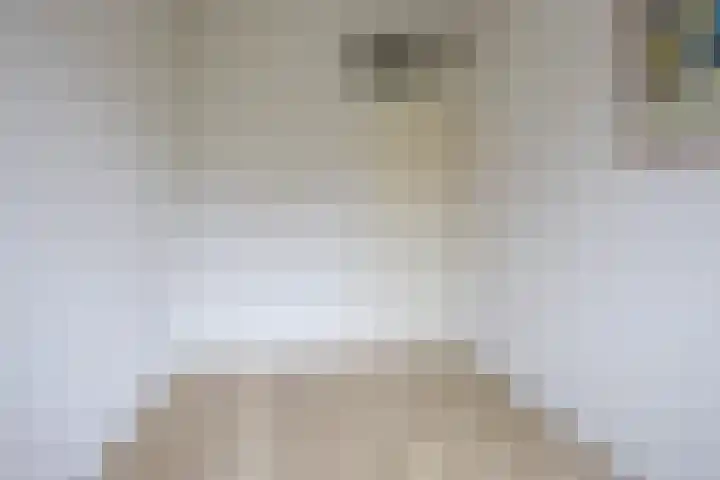 Breedweerlaan 98 Heemskerk thumbnail 22