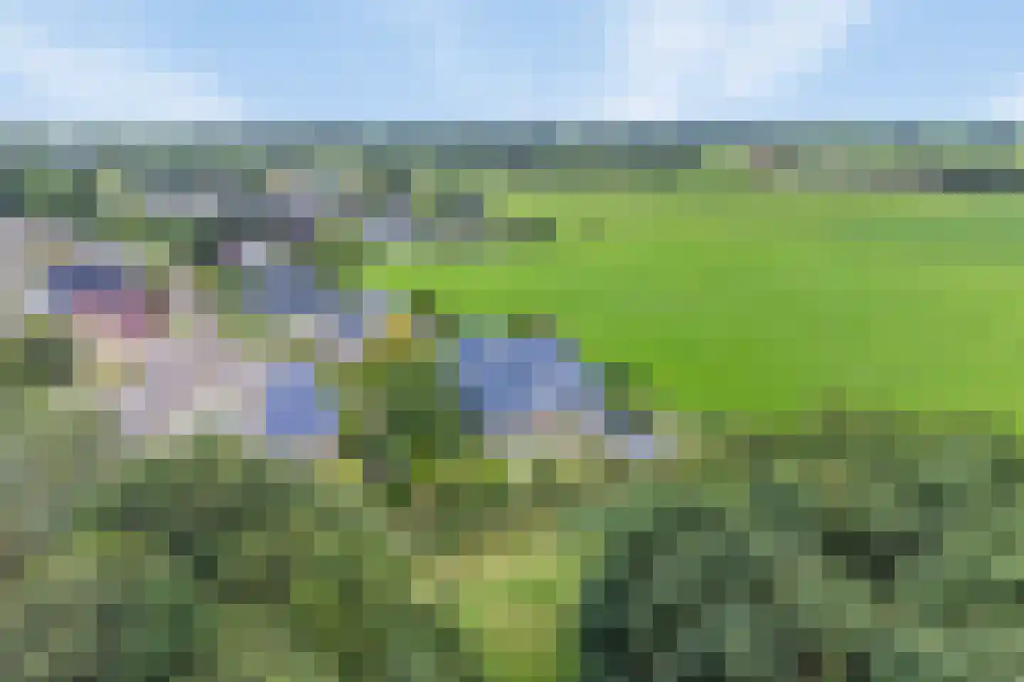 Breefenne 8 Stavoren