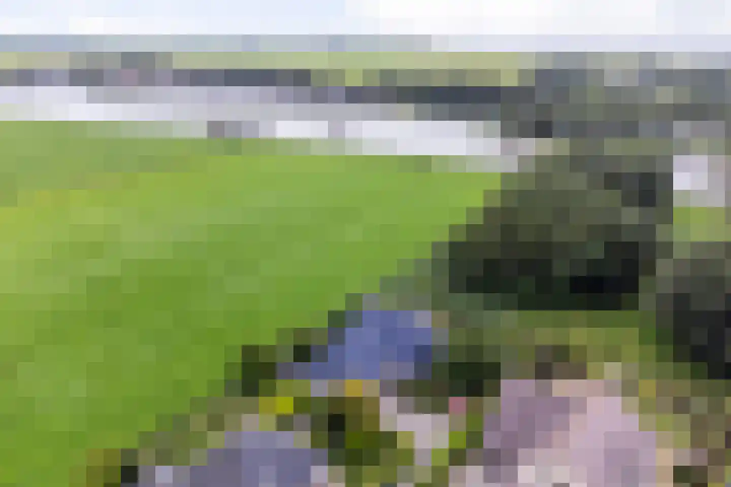 Breefenne 8 Stavoren thumbnail 11
