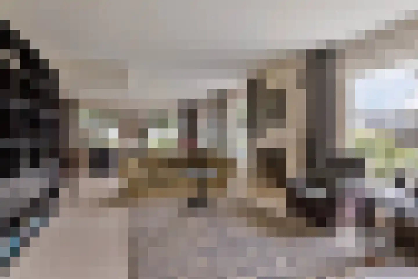 Breefenne 8 Stavoren thumbnail 22