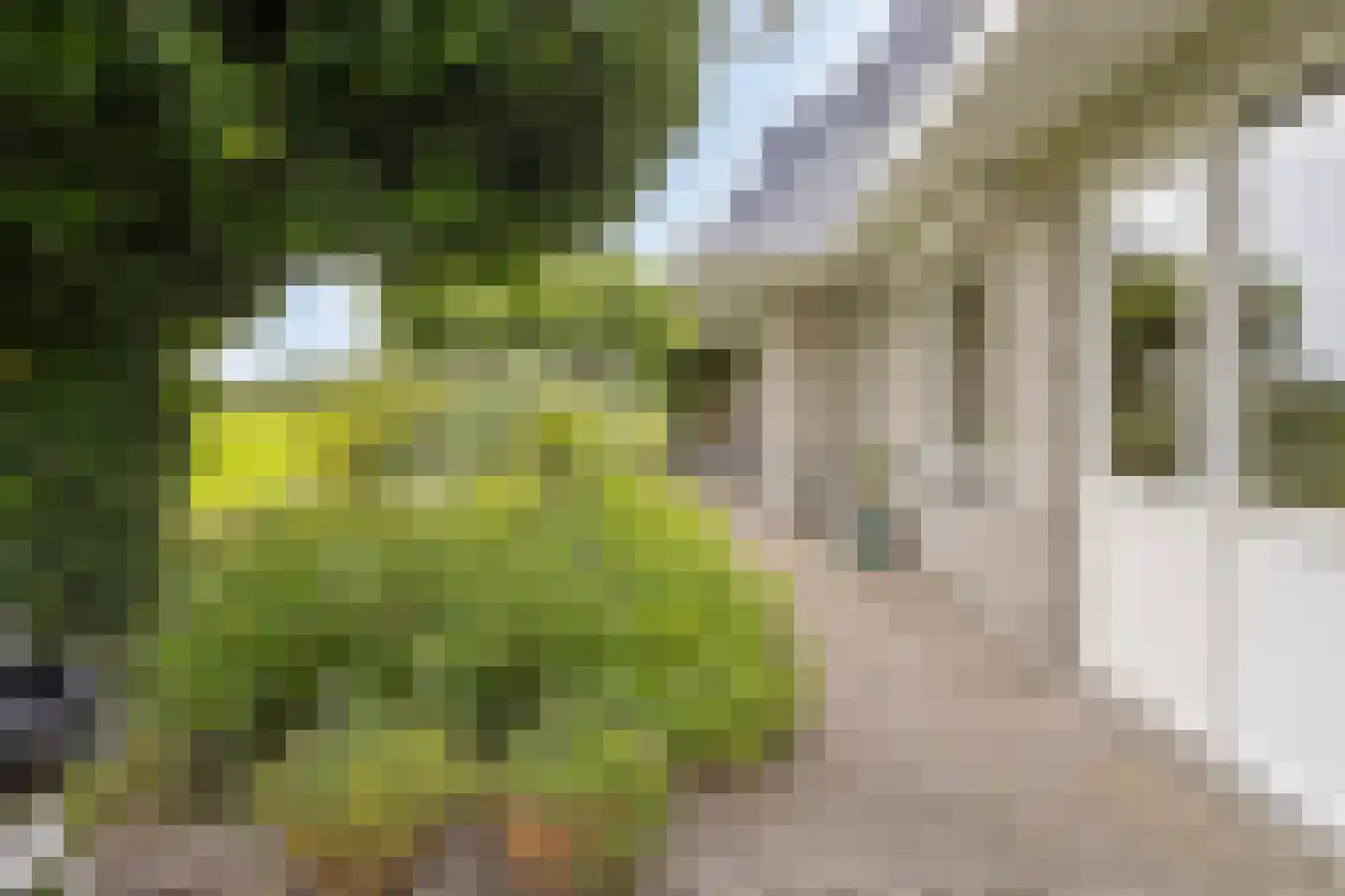 Breefenne 8 Stavoren thumbnail 58