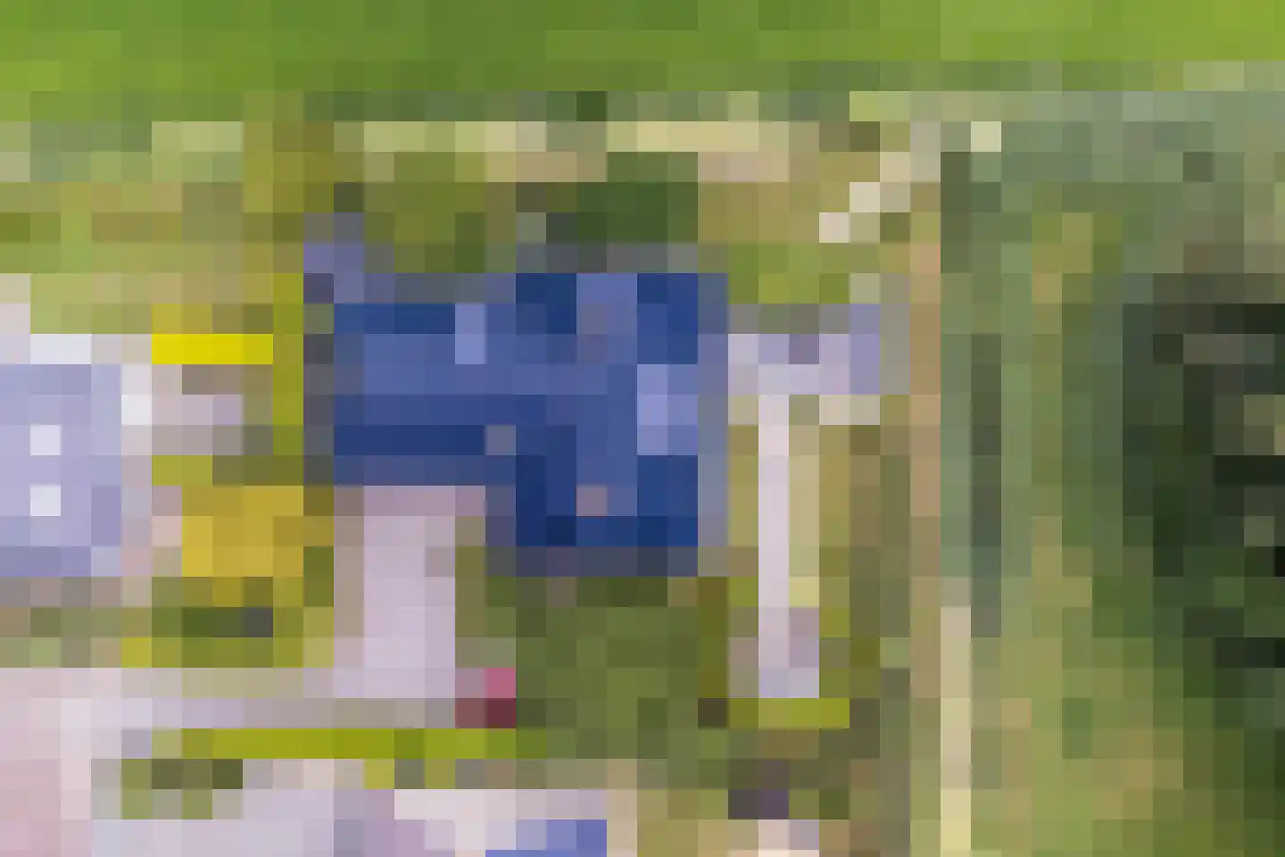 Breefenne 8 Stavoren thumbnail 6