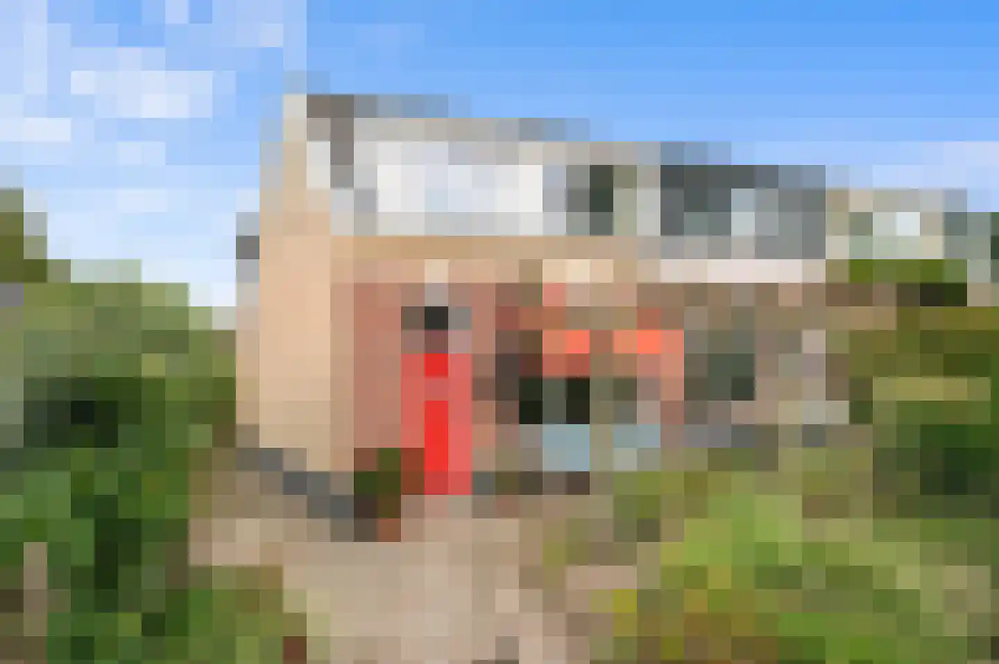 Breegraven 37 Warnsveld thumbnail 34