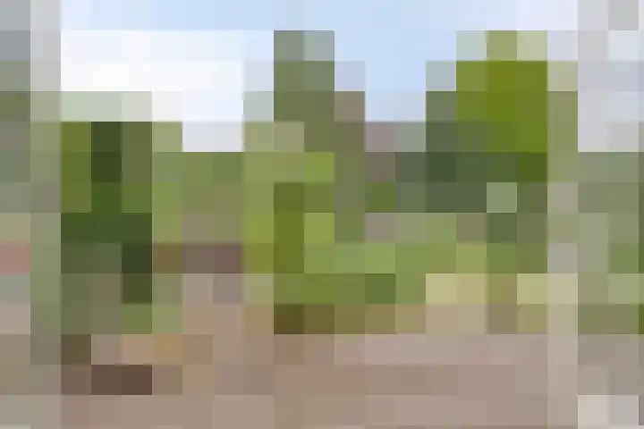 Breegraven 75 Warnsveld thumbnail 21