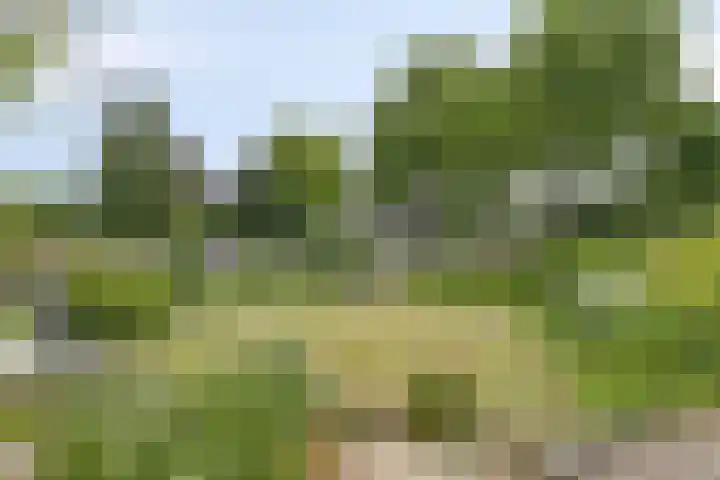 Breegraven 75 Warnsveld thumbnail 27