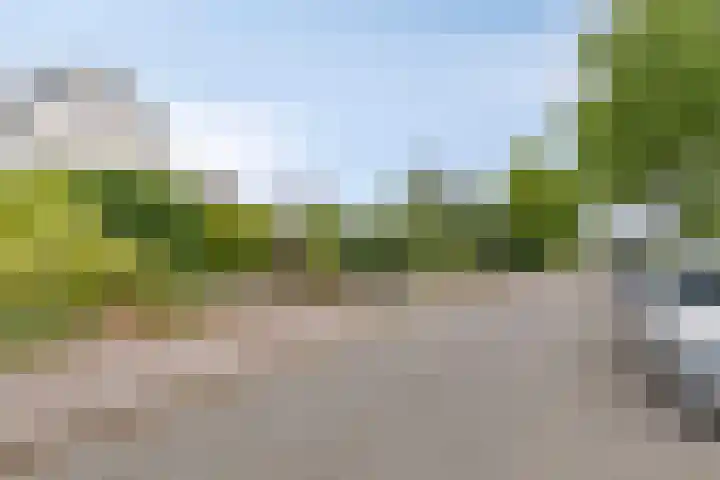 Breegraven 75 Warnsveld thumbnail 28