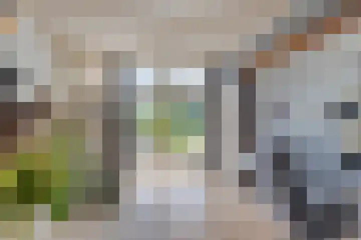Breegraven 75 Warnsveld thumbnail 7