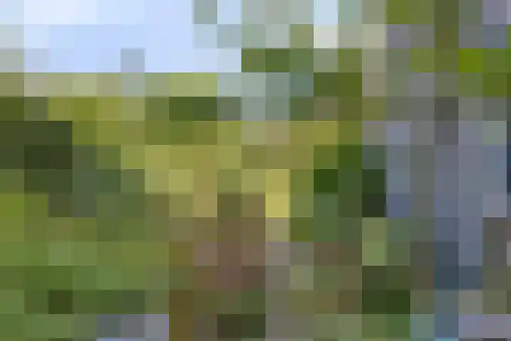 Breegraven 89 Warnsveld thumbnail 32