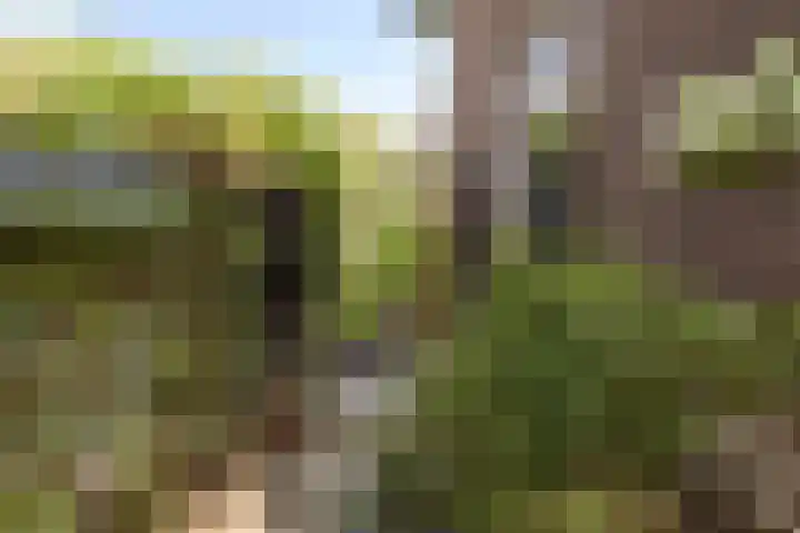 Breegraven 89 Warnsveld thumbnail 33