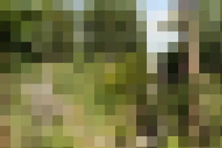 Breegraven 89 Warnsveld thumbnail 34