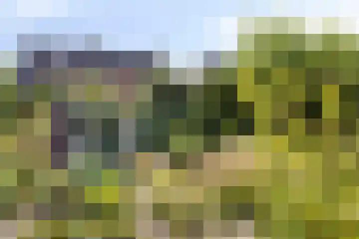 Breegraven 89 Warnsveld thumbnail 35