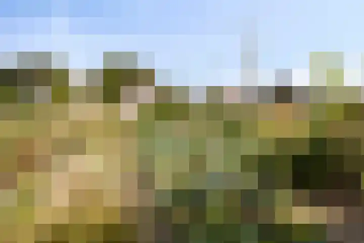 Breegraven 89 Warnsveld thumbnail 36