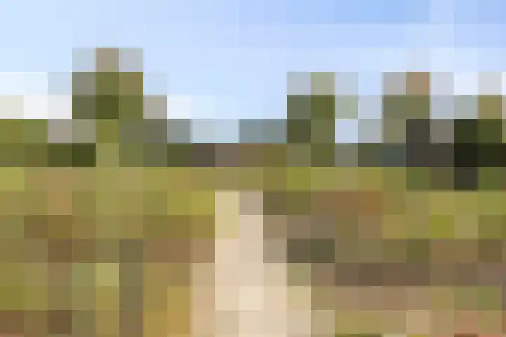 Breegraven 89 Warnsveld thumbnail 37