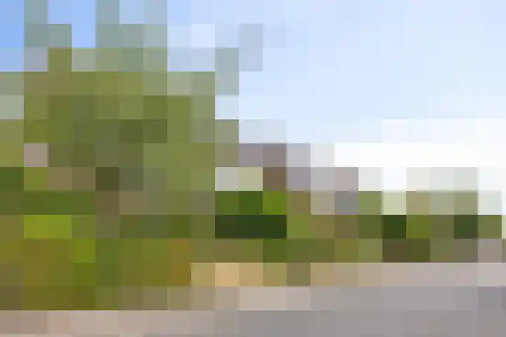 Breegraven 89 Warnsveld thumbnail 39