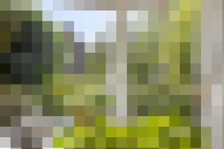 Breegraven 89 Warnsveld thumbnail 6