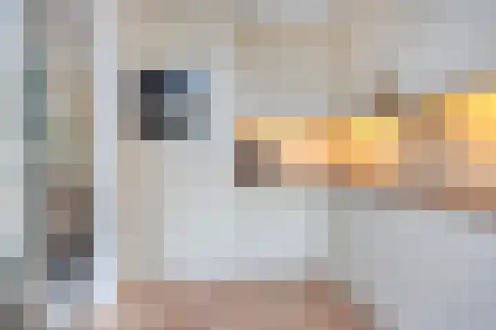 Breegraven 9 Warnsveld thumbnail 16