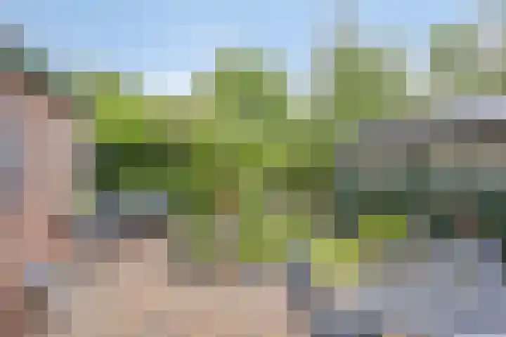 Breegraven 9 Warnsveld thumbnail 30