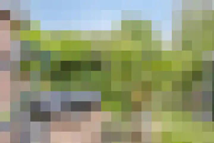 Breegraven 9 Warnsveld thumbnail 31