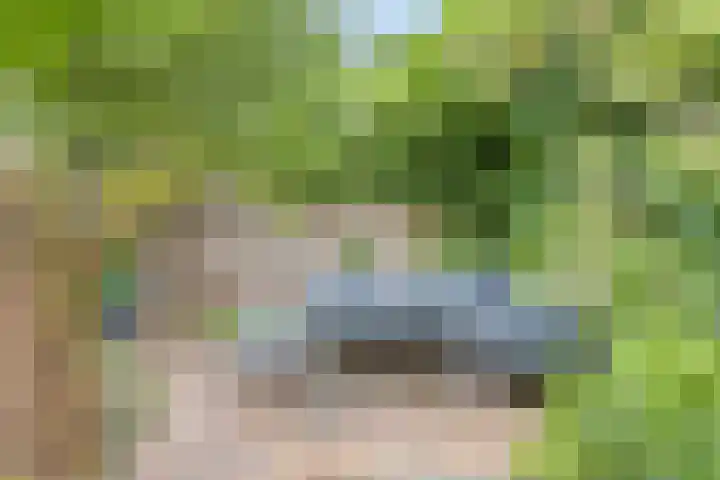 Breegraven 9 Warnsveld thumbnail 35