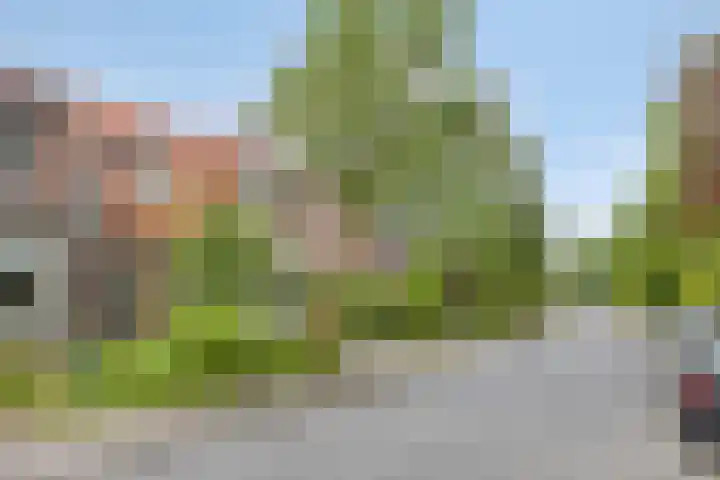 Breegraven 9 Warnsveld thumbnail 36