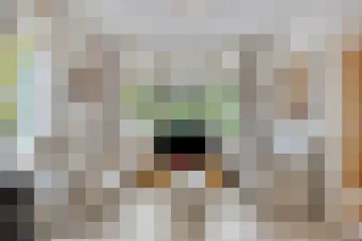 Breegraven 9 Warnsveld thumbnail 5